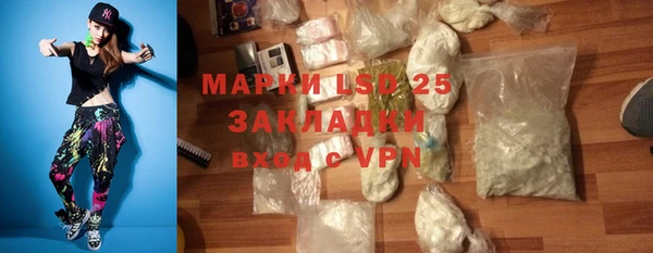 гашик Пестово