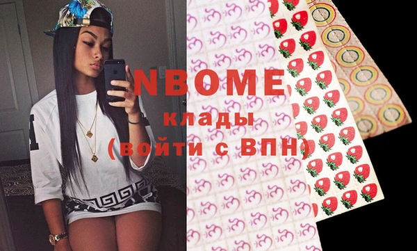 гашик Пестово
