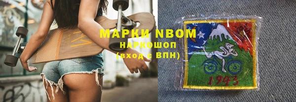 гашик Пестово