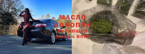 гашик Пестово