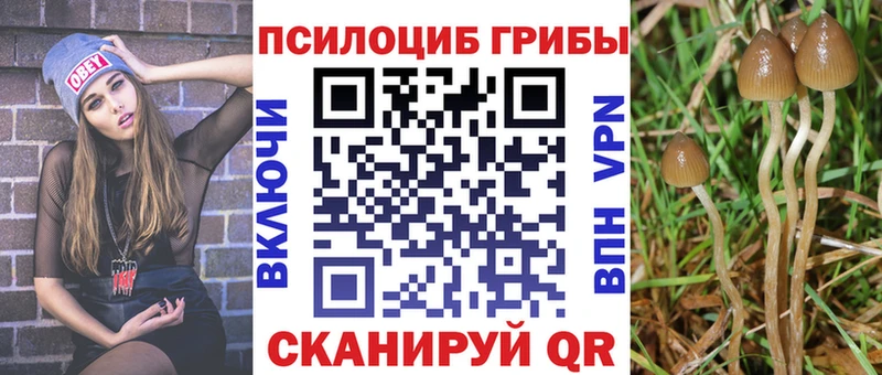 Псилоцибиновые грибы ЛСД mega зеркало Апрелевка
