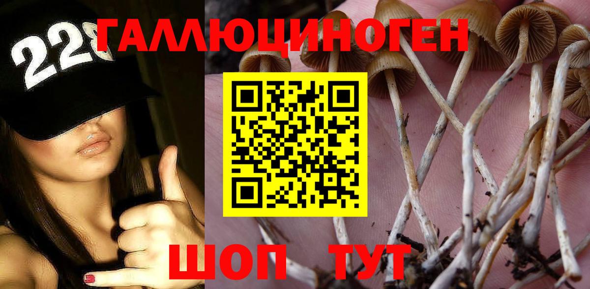 Галлюциногенные грибы Magic Shrooms  Вход с VPN  Галлюциногенные грибы GOLDEN TEACHER  Апрелевка 