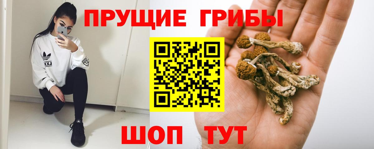 Псилоцибиновые грибы Magic Shrooms Апрелевка